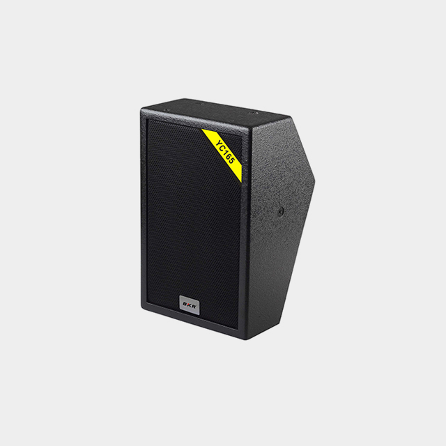 Conference Speaker